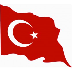 AYYILDIZ BAYRAK DALGALI 8cm AYYILDIZ BAYRAK DALGALI 8cm