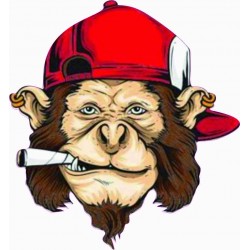 ŞAPKALI MAYMUN STİCKER 7cm ŞAPKALI MAYMUN STİCKER 7cm