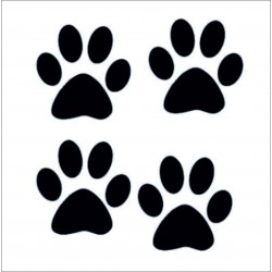 PATİ STİCKER 4'LÜ - RENKLİ