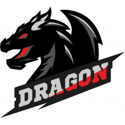 DRAGON STİCKER 9x8cm DRAGON STİCKER 9x8cm