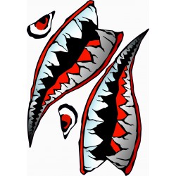 KÖPEK BALIĞI A4 STİCKER