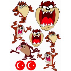 TAZMANYA A4 SET TAZMANYA A4 SET