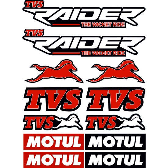 TVS RAİDER A4 STİCKER