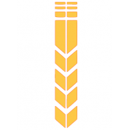 ÇAMURLUK ÜST UZUN STİCKER GOLD ÇAMURLUK ÜST UZUN STİCKER GOLD