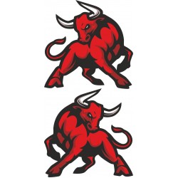 BOĞA STİCKER 2'Lİ 12x12cm M-2