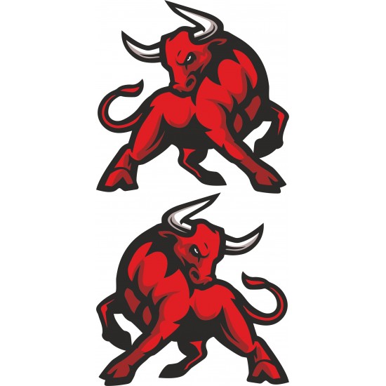 BOĞA STİCKER 2'Lİ 12x12cm M-2