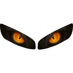 R25 FAR FİLMİ EJDER GÖZLÜ (YENİ KASA) R25 FAR FİLMİ EJDER GÖZLÜ (YENİ KASA)