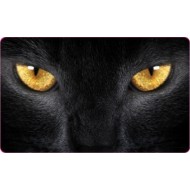 CG FAR FİLMİ KEDİ