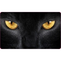 CG FAR FİLMİ KEDİ CG FAR FİLMİ KEDİ