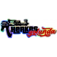 HERKES YOLUNDA HOLOGRAM 13cm 