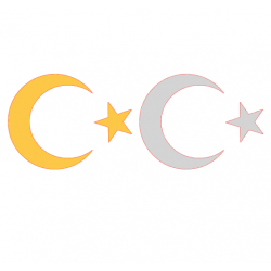 AYYILDIZ BAYRAK 10x13cm AYYILDIZ BAYRAK 10x13cm